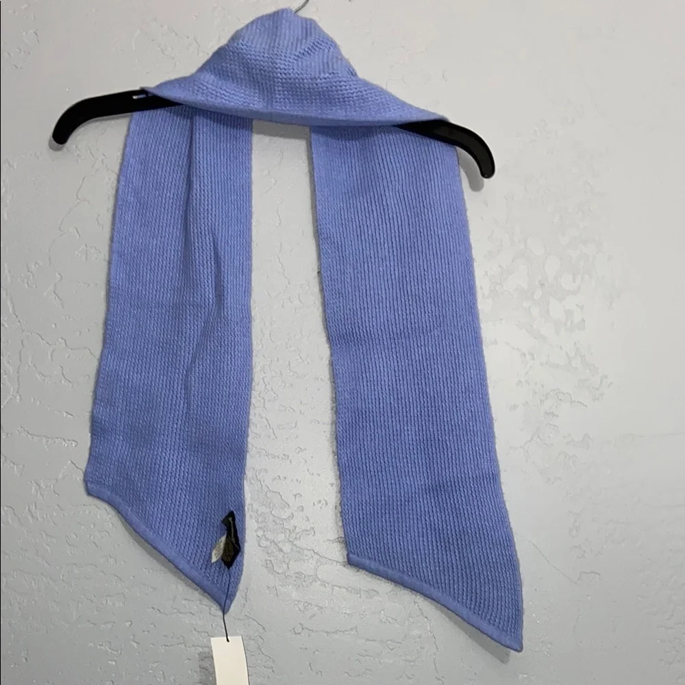 NWT Banana Republic Knit Scarf Wool Angora Rabbit Hair Blend Light Blue